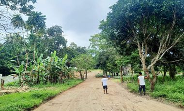 Residential Lot For Sale in Pajo Alfonso Cavite-MC