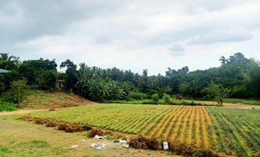 Residential Lot For Sale in Pajo Alfonso Cavite-MC