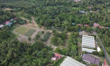 Residential Lot For Sale in Pajo Alfonso Cavite-MC