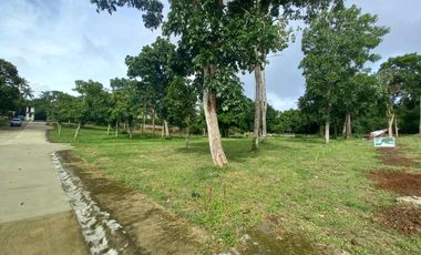 Residential Lot For Sale in Pajo Alfonso Cavite-MC