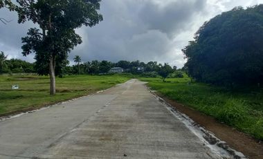 Residential Lot For Sale in Pajo Alfonso Cavite-MC