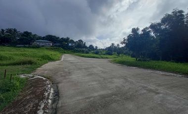 Residential Lot For Sale in Pajo Alfonso Cavite-MC