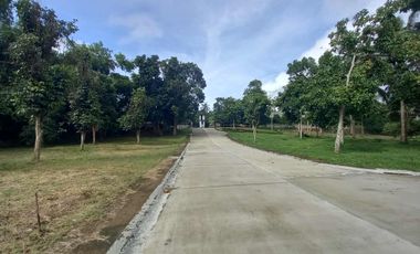 Residential Lot For Sale in Pajo Alfonso Cavite-MC