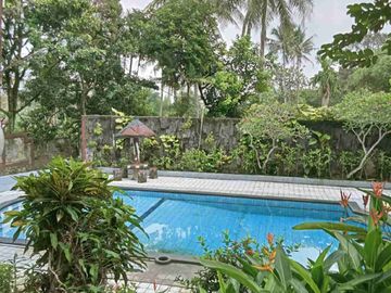 DIJUAL MURAH RUMAH TANAH LUAS CIOMAS BOGOR KOTA