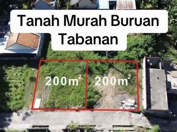 SALE 2 Kavling SHM Benana Kaja Penebel