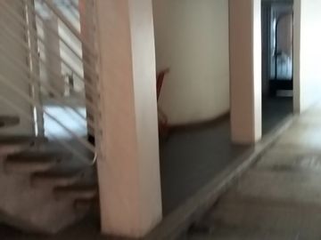 Departamento en Tlacotalpan 143, Colonia Roma, C.P. 06760, Alcaldía Cuauhtémoc, CDMX.