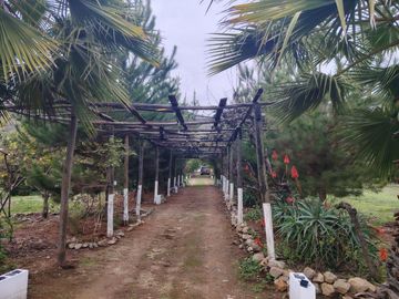 PARCELA DE AGRADO EN CAMINO CULIPRAN DE MELIPILLA REGION METROPOLITANA