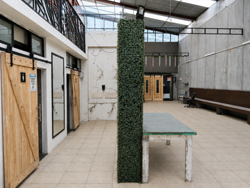 Local Comercial en Renta con 300 m2, en Sabino, Sta Maria la Ribera