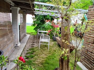 Disewakan Ruang Usaha Estetik Konsep Alam Luas Istimewa di Jl Raya Solo-Tawangmangu Karangpandan Karanganyar