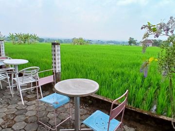 Disewakan Ruang Usaha Estetik Konsep Alam Luas Istimewa di Jl Raya Solo-Tawangmangu Karangpandan Karanganyar