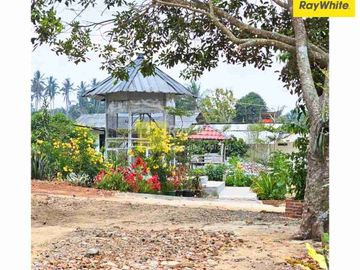 Tanah dan kebun