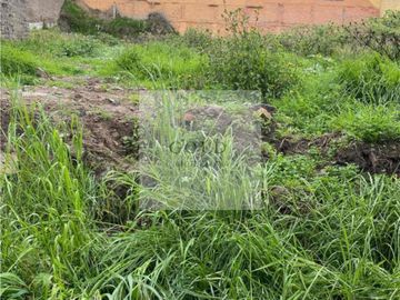 Rento Terreno en Toluca atrás del palacio Municipal