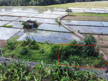 DIJUAL TANAH PANTAI KEDUNGU