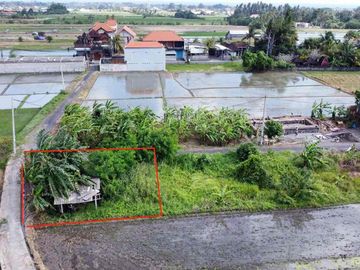 DIJUAL TANAH PANTAI KEDUNGU