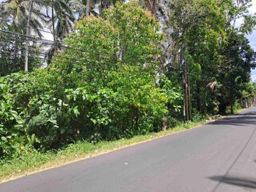 DIJUAL CEPAT TANAH STRATEGIS DAERAH UNSRAT, HARGA SANGAT MURAH