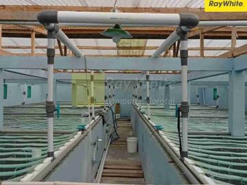 Di Jual Tanah Pantai
