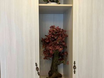 Fully Furnished Elegant Studio for rent in Makati CBD