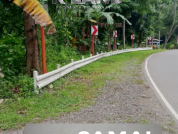 🏢 COMMERCIAL LOT FOR SALE – San Agustin, Peñaplata, Samal Island
