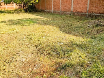 Terreno Comercial de 1,004 m² con Excelente Ubicación en Xochimilco