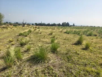 Terreno de 412 m² en Zinacantepec | Ideal para Casa o Proyecto | Invierte Hoy