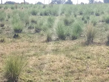 Terreno de 412 m² en Zinacantepec | Ideal para Casa o Proyecto | Invierte Hoy