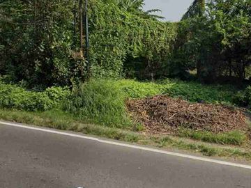 Dijual Tanah Kosong Raya Balongbendo Sidoarjo