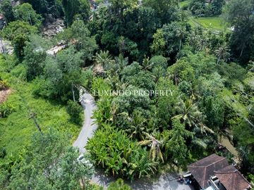 DISEWAKAN JANGKA PANJANG TANAH 5 ARE DI KABA-KABA