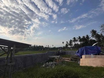 Tanah Hook SHM di Tabanan Dekat Kedungu | 124 m² Rp425 Juta