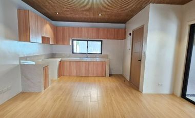 Brand-New Detatched House & Lot