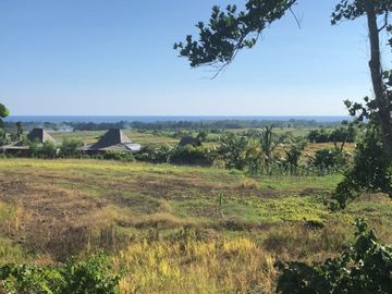 Dijual Tanah Tabanan desa Tanguntiti Bali