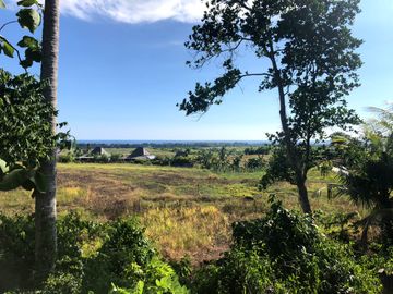 Dijual Tanah Tabanan desa Tanguntiti Bali