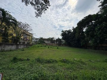 Prime Residential Lot for Sale in Ayala Alabang Village