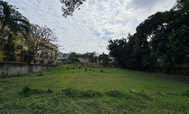 Prime Residential Lot for Sale in Ayala Alabang Village