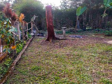 dijual tanah di Cibogo Bogor, cocok utk dibangun villa, udara sejuk, adem. dekat jalan utama jalur puncak,