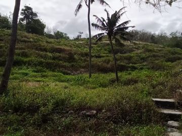 Prime Beachfront Development Land for Sale – Nusa Ceningan, Bali