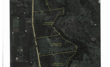 WIDE FRONTAGE LOT FOR SALE ALONG THE MAIN ROAD OF DAMILAG, MANOLO FORTICH, BUKIDNON