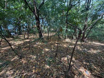 BEACHFRONT LAND FOR SALE – TULAMBEN, KARANGASEM, BALI