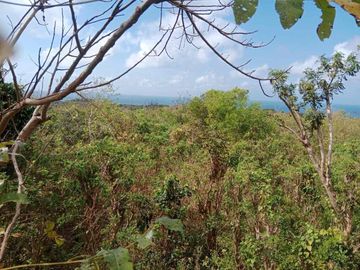 BEACHFRONT LAND FOR SALE – TULAMBEN, KARANGASEM, BALI