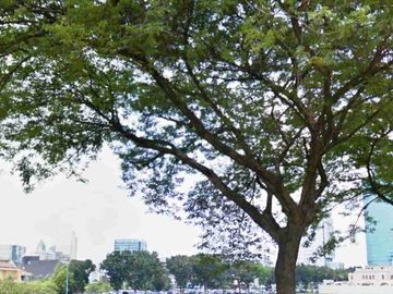 lahan kosong di Mega Kuningan Jakarta Selatan