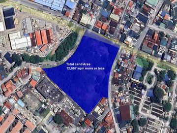 For Lease! 1,827 Sqm at Mandaluyong Lot, Mandaluyong