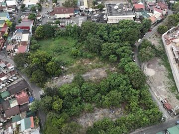 For Lease! 1,827 Sqm at Mandaluyong Lot, Mandaluyong