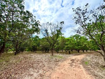 Terreno en venta en Las Varas, Nayarit