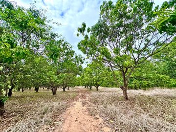 Terreno en venta en Las Varas, Nayarit