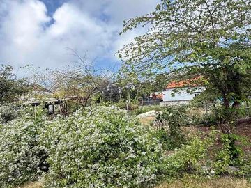 HOT DEAL TANAH MURAH HOOK DI KUTUH – LINGKUNGAN VILLA