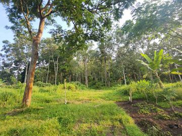 tanah kemiling 7925m cocok perumahan