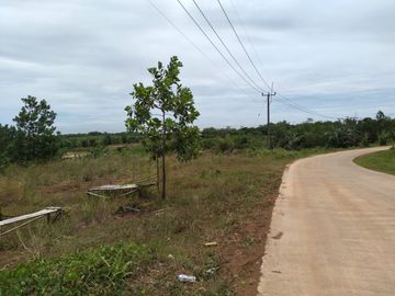 Tanah SHM 11 Hektare Maja Lebak Lokasi Berkembang Nilai Investasi Tinggi