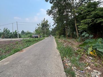DI JUAL TANAH DI CISAUK  DESA DANDANG KAB . TANGERANG