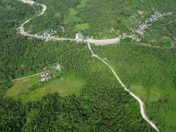 25 Hectares Titled Agricultural land for sale