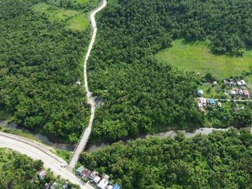 25 Hectares Titled Agricultural land for sale