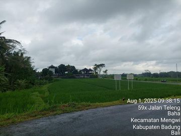 DIJUAL TANAH 2.025 M² DI BAHA, MENGWI – BADUNG